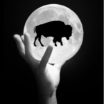 Bison Moon Group Inc.